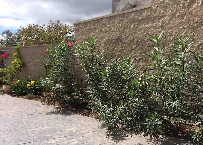 Acogedora Casa De Madera Con Piscina